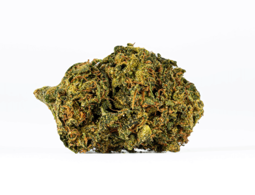 Sour Tangie (AA) - Image 3