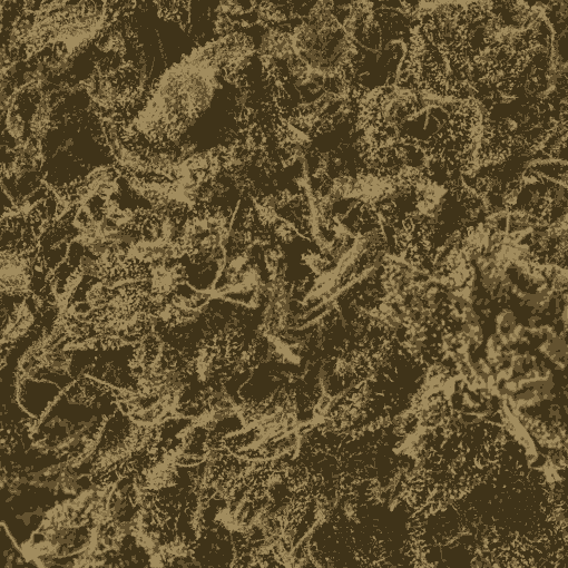 Valley Gas (AAAA) - Image 4