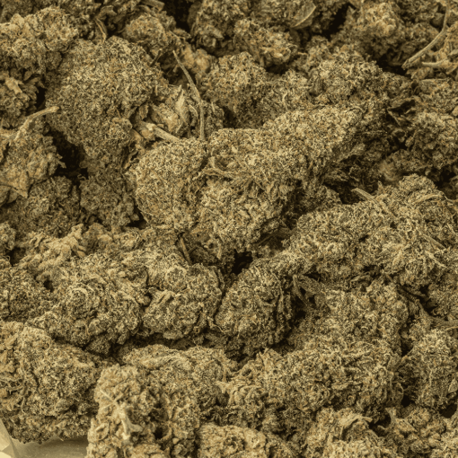 Flintstones (AA+) - Image 4
