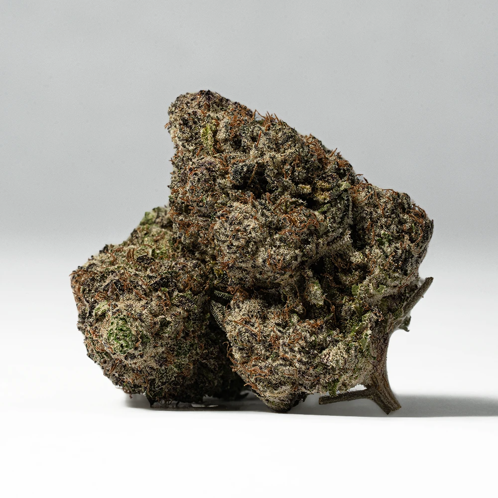 9LB Hammer (AAAA)