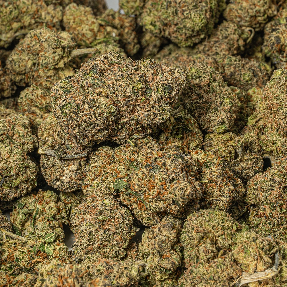 Citrus Skunk (AAA) - Image 5