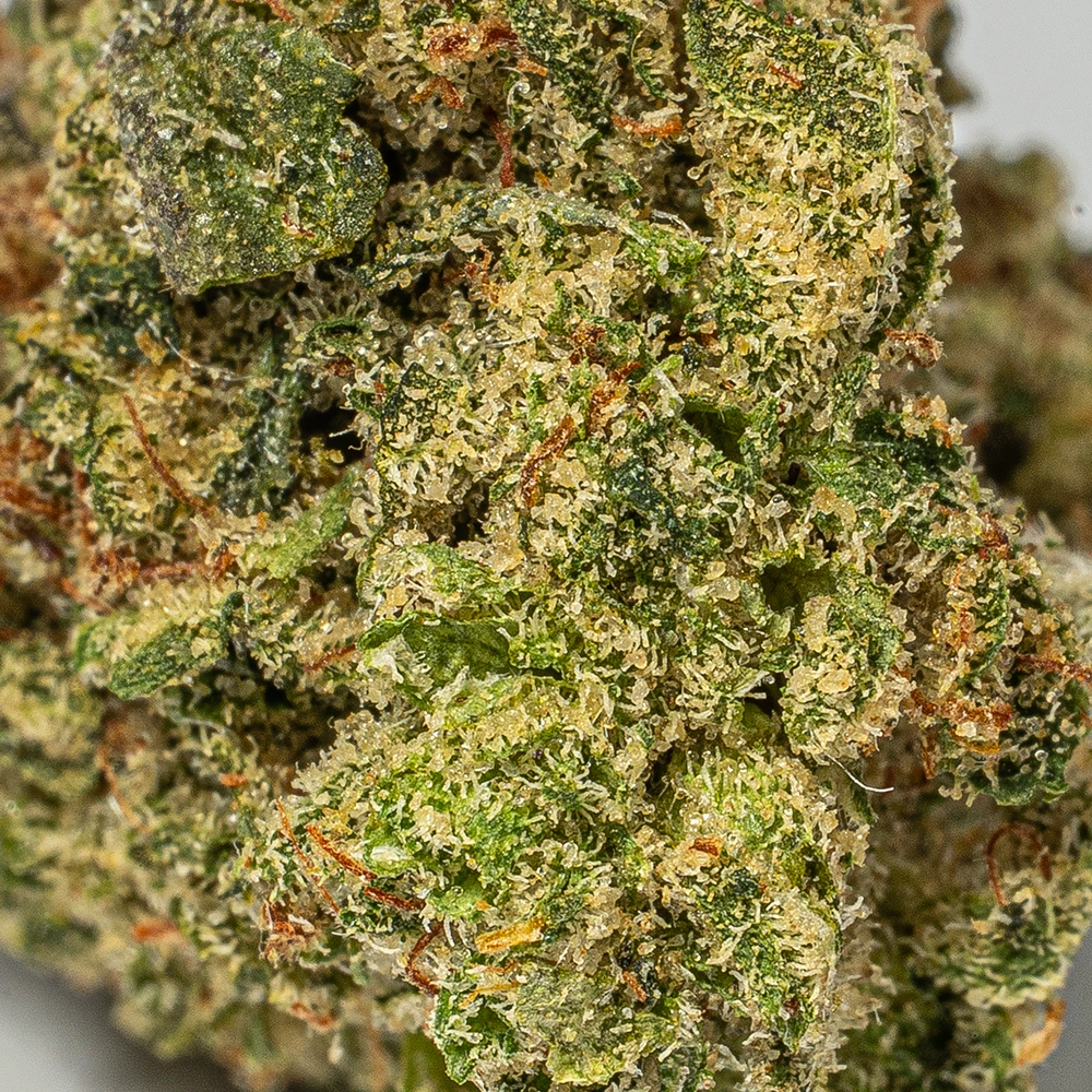 Gelato Smalls (AAA+) - Image 5