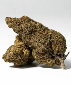 Ghost Dawg (AA+)