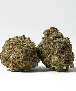 Gorilla Glue (AAA+)