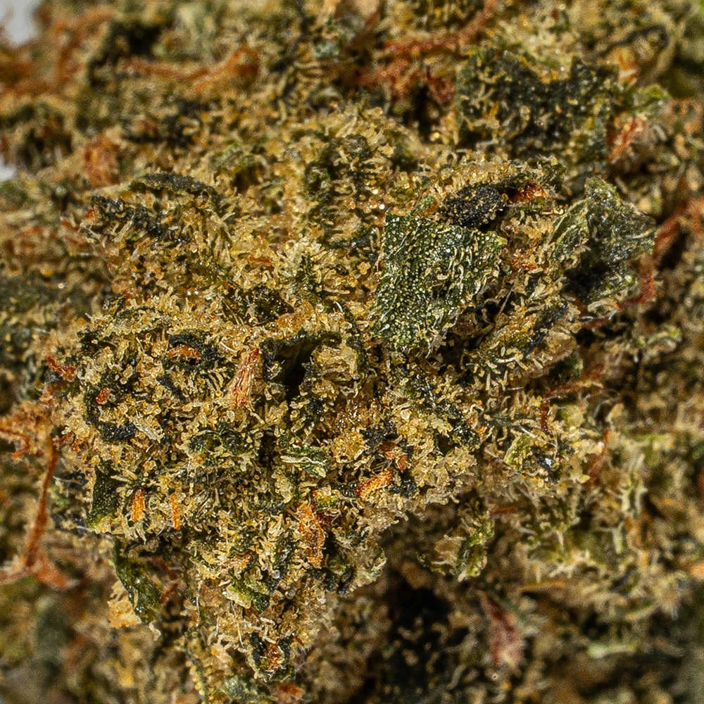 Lindsay OG Smalls (AAA+) - Image 5