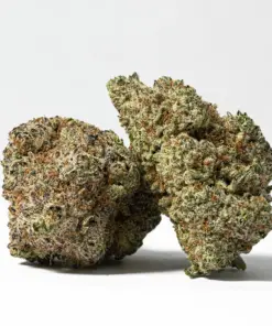 Poison Fruit (AAA+)