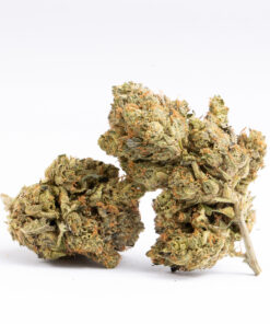 Pussy Pink (AAA+)