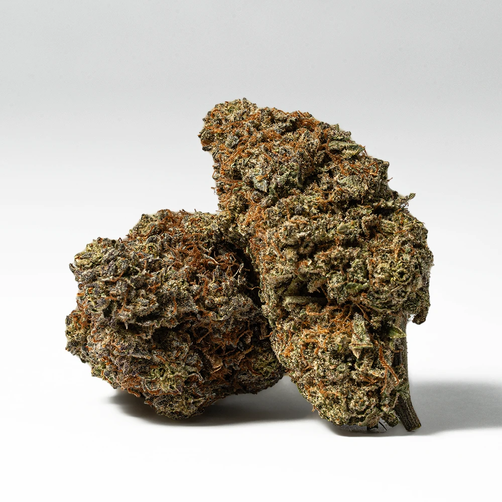 Sunburst (AA+)
