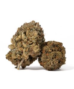 Gangster Kush (AAA)