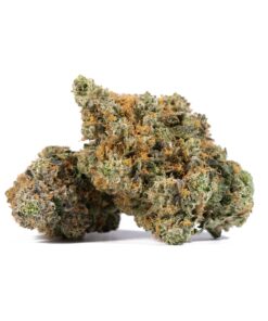 Primus OG (AAAA)