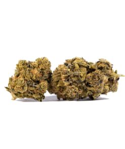 Cheese Wiz (AA+)