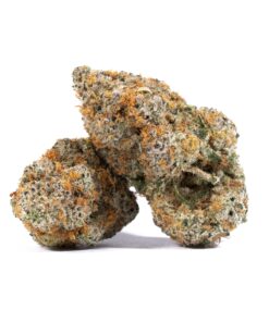 Slurricane (AAAA)