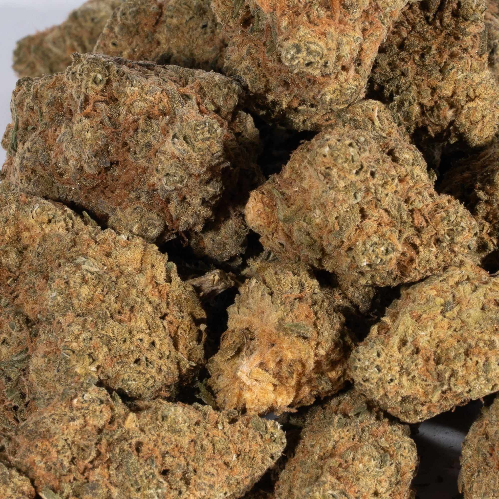 Afghan Hawaiian (AA) - Image 5