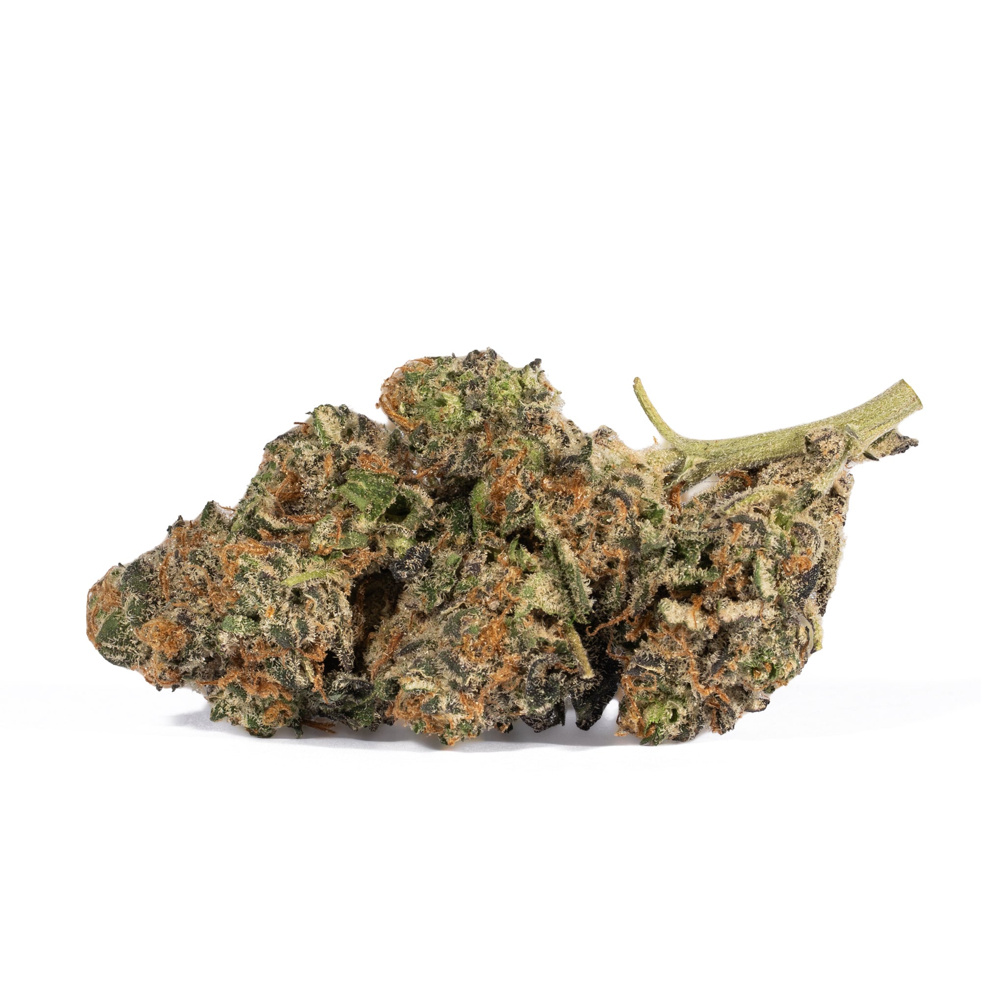 Animal Cookies (AAA) - Image 2