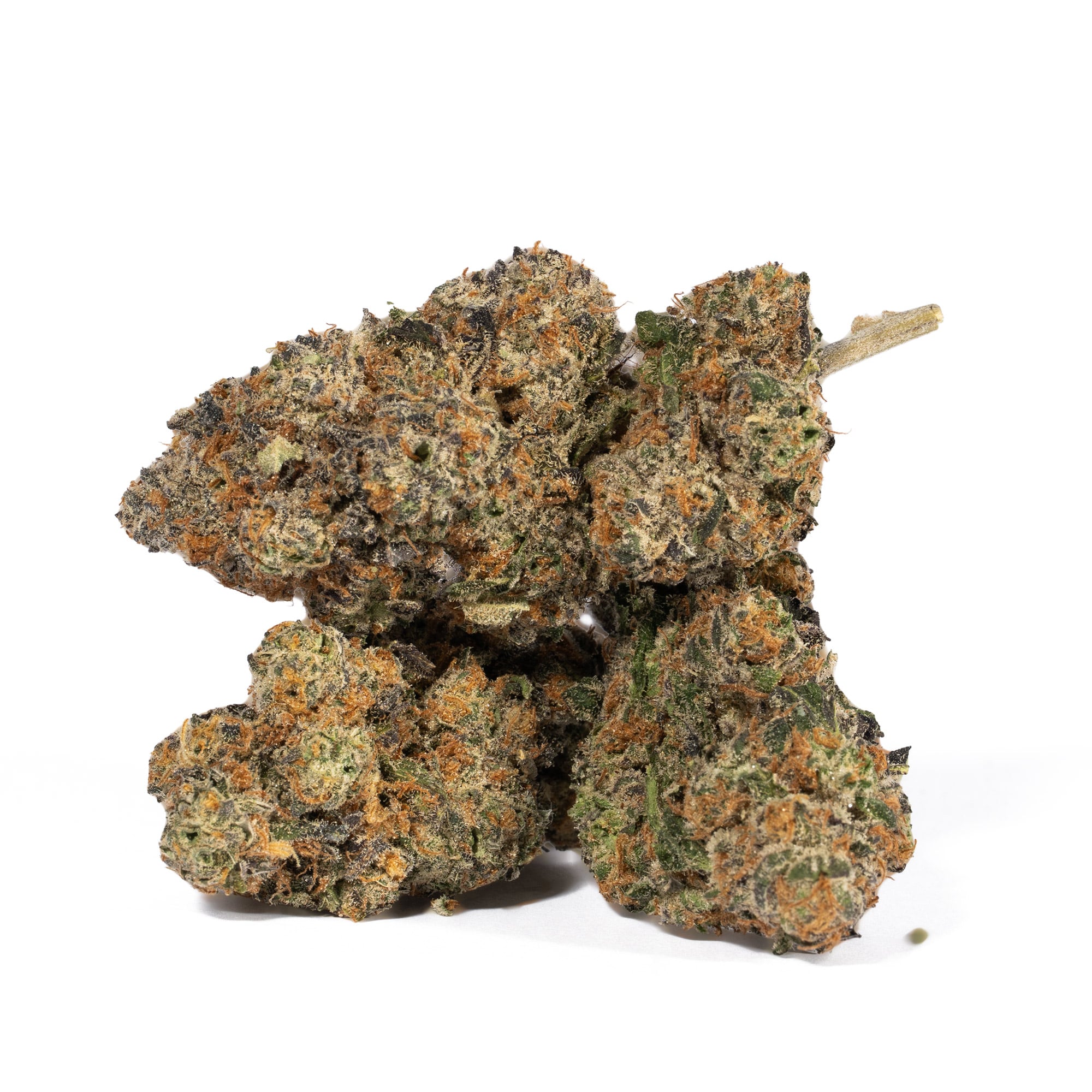 Animal Cookies (AAA) - Image 5