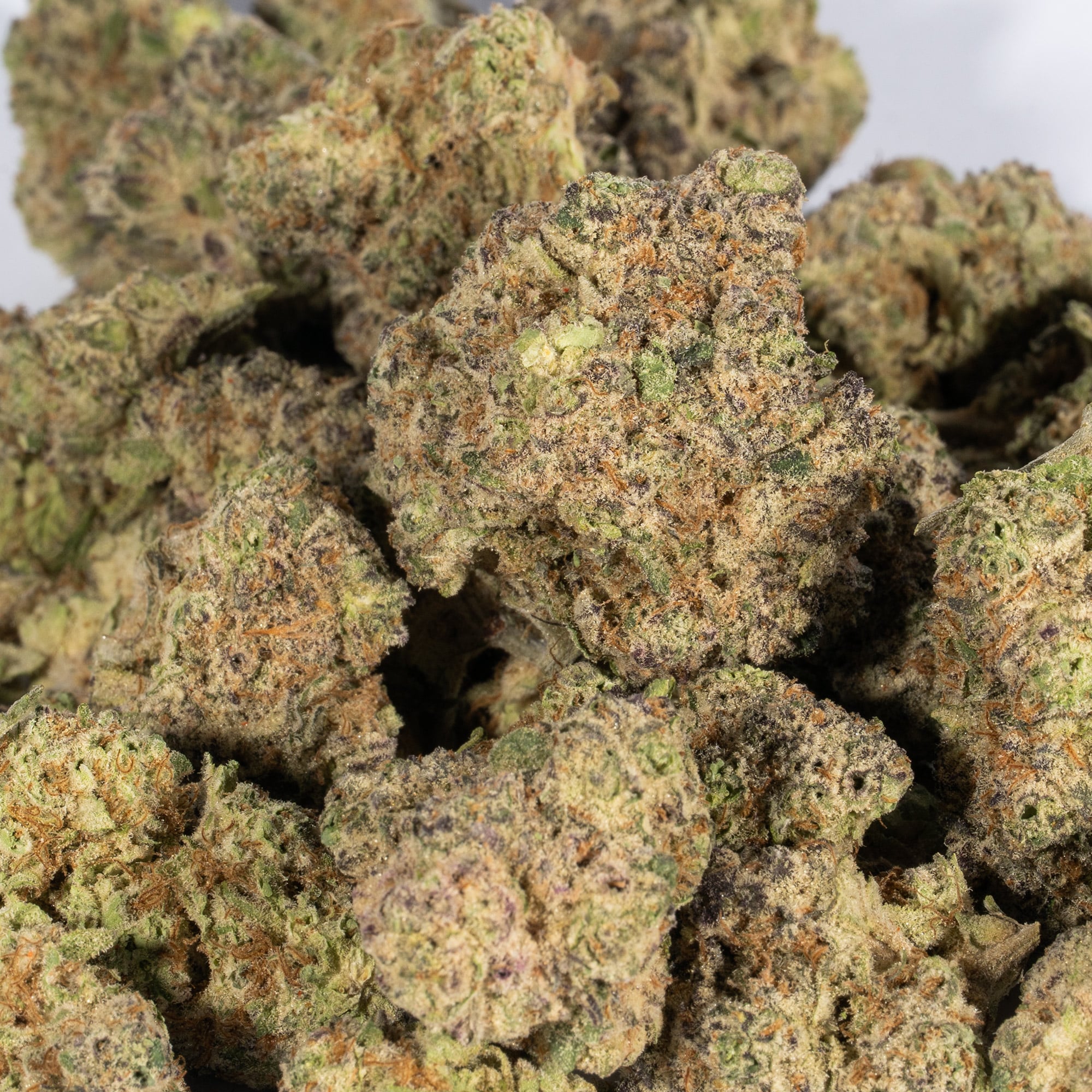 Bubblegum (AA+) - Image 5