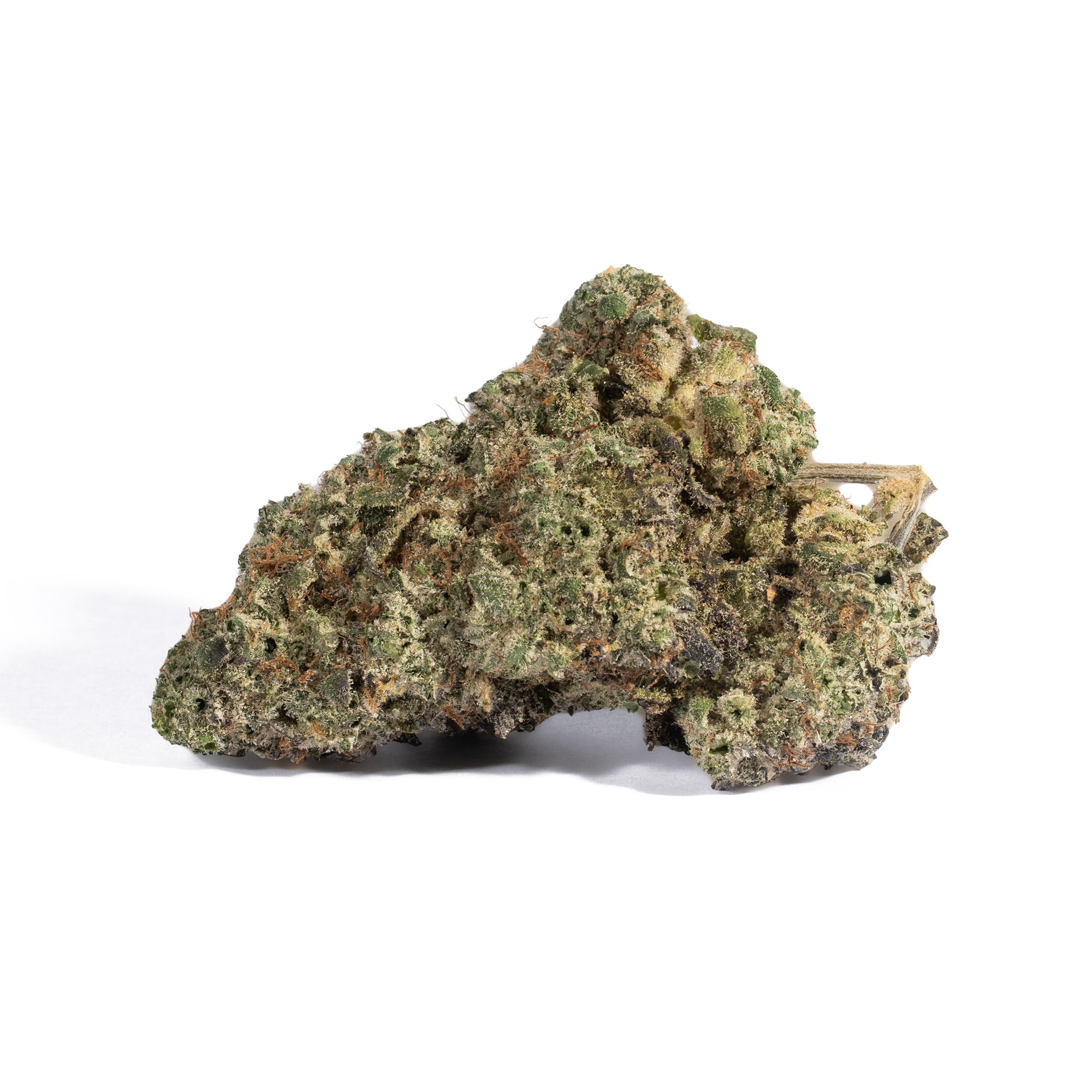 Grey God (AAA+) - Image 2