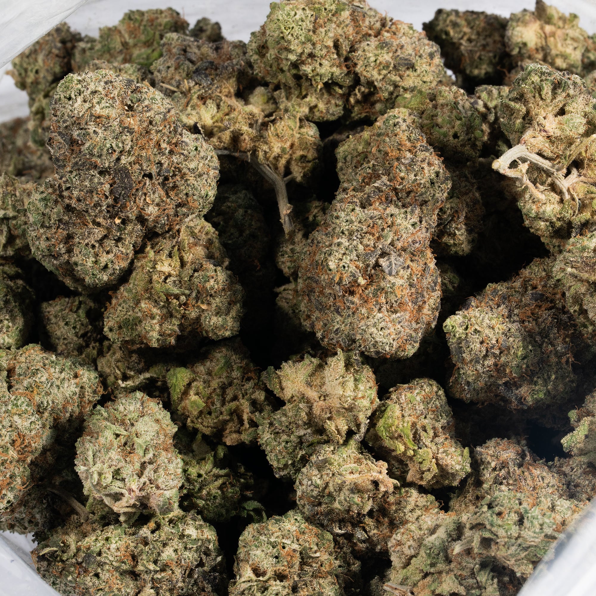 Grey God (AAA+) - Image 4