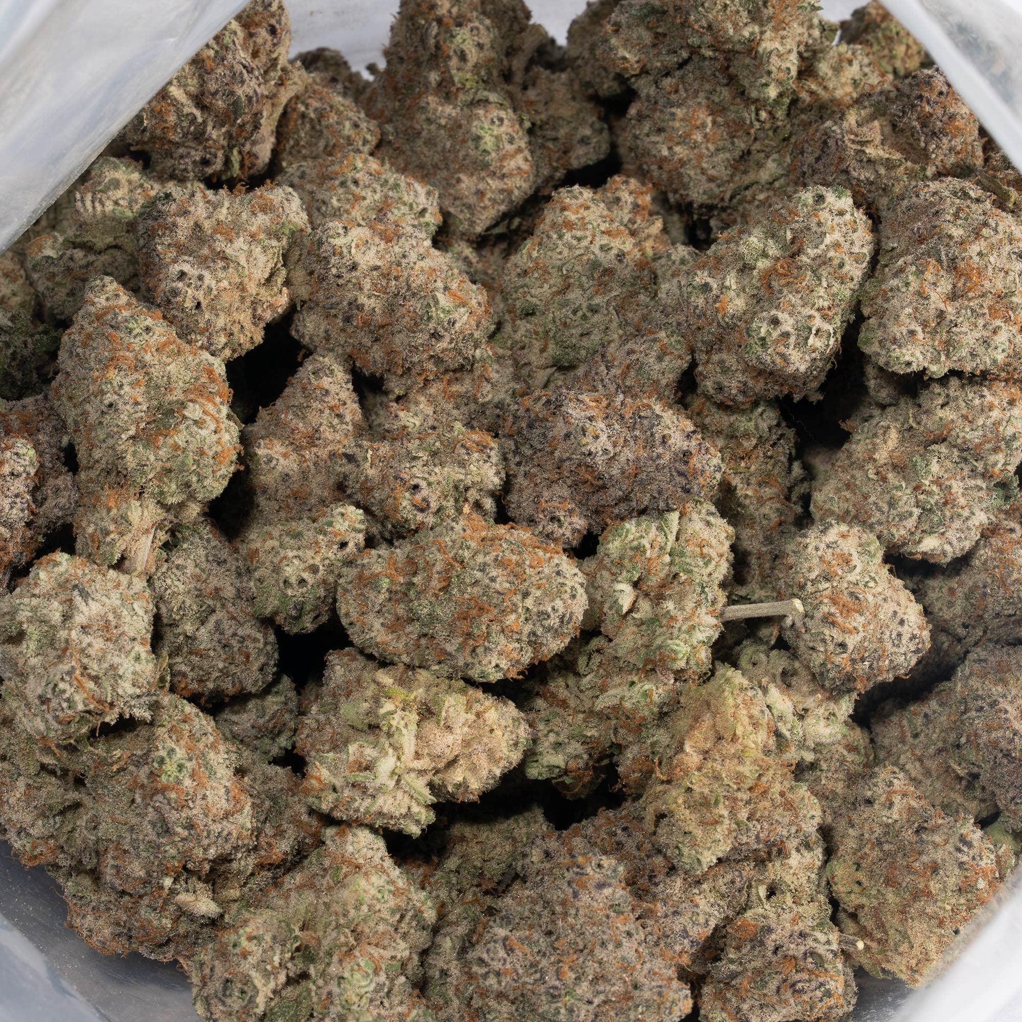 Grey Goose (AAA+) - Image 5