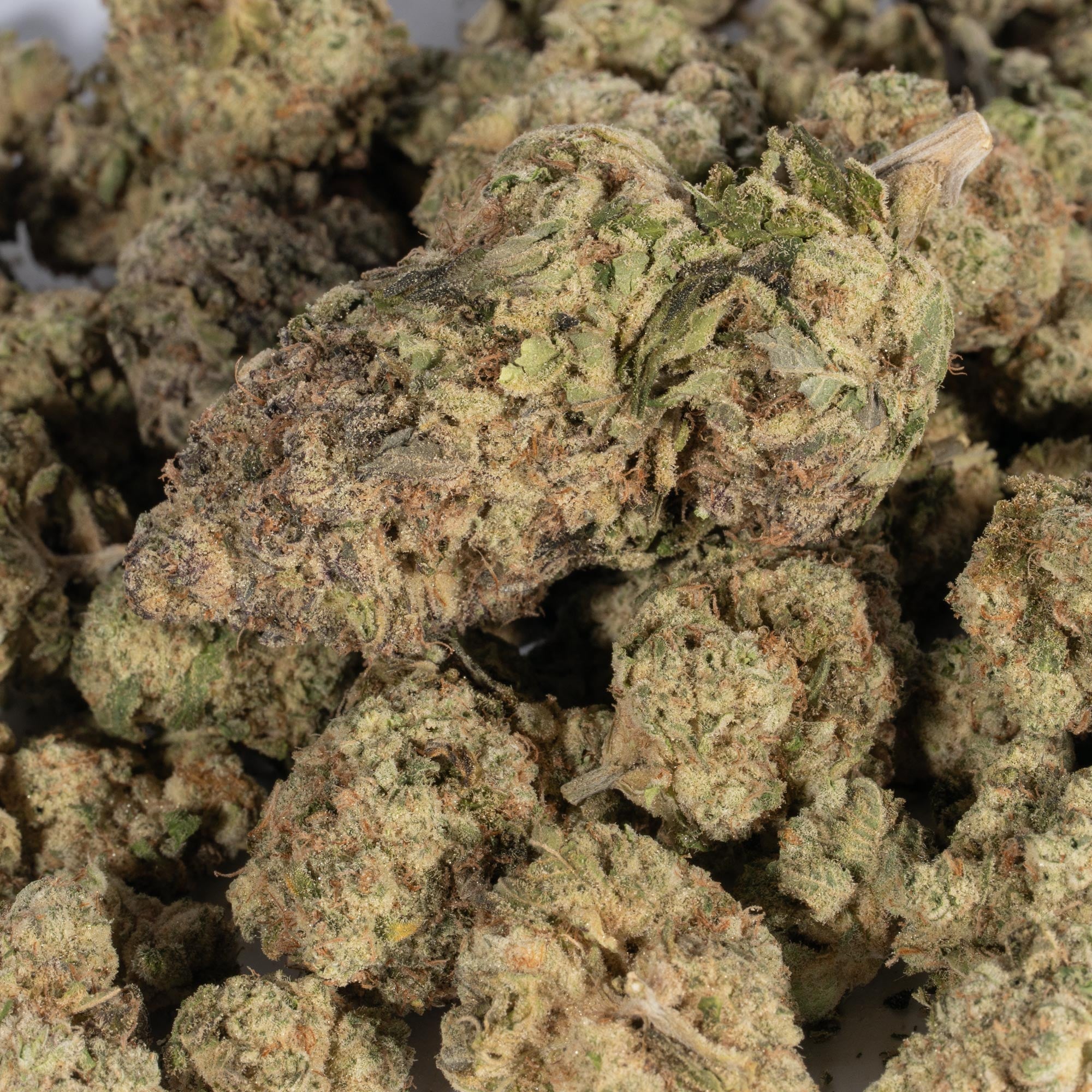 Jack Herer (AA+) - Image 3