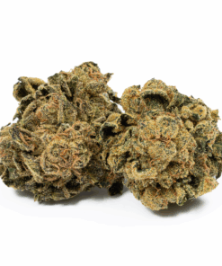Blue Cheese (AA)