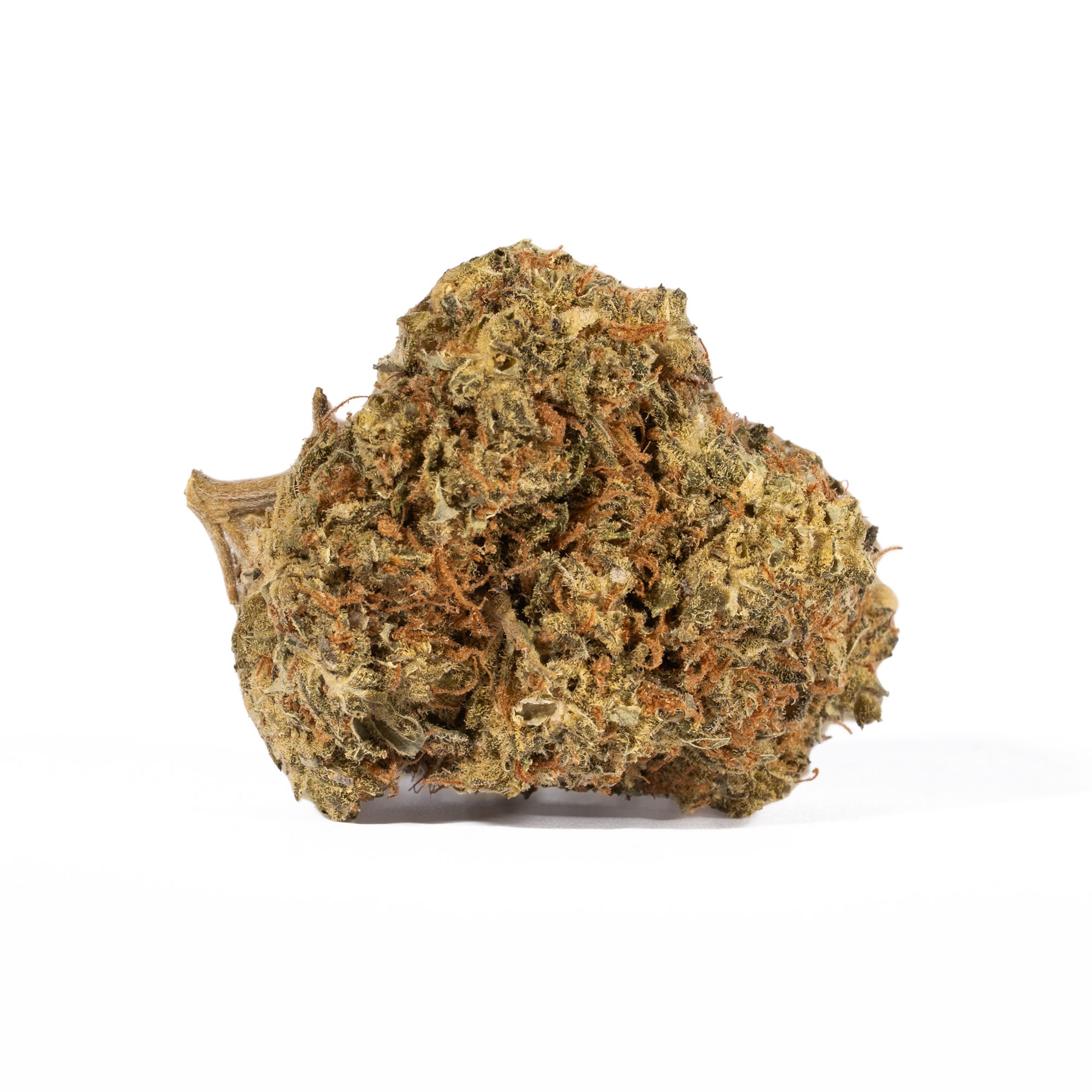 Moby Dick (AA+) - Image 2