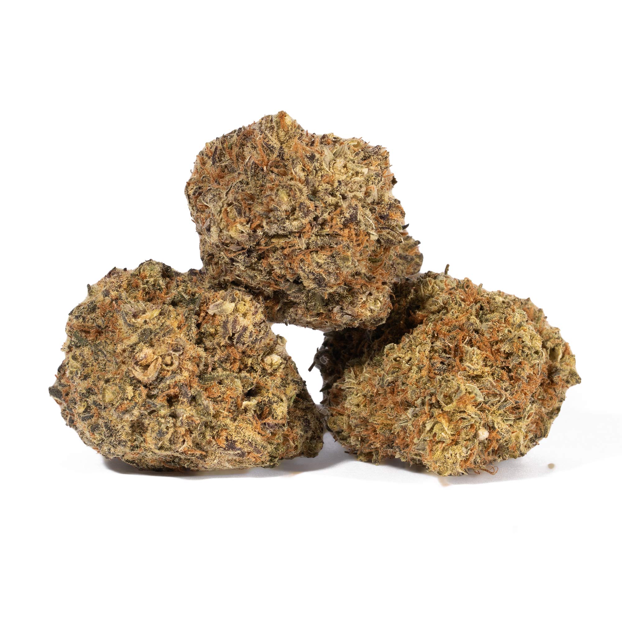 Moby Dick (AA+) - Image 3