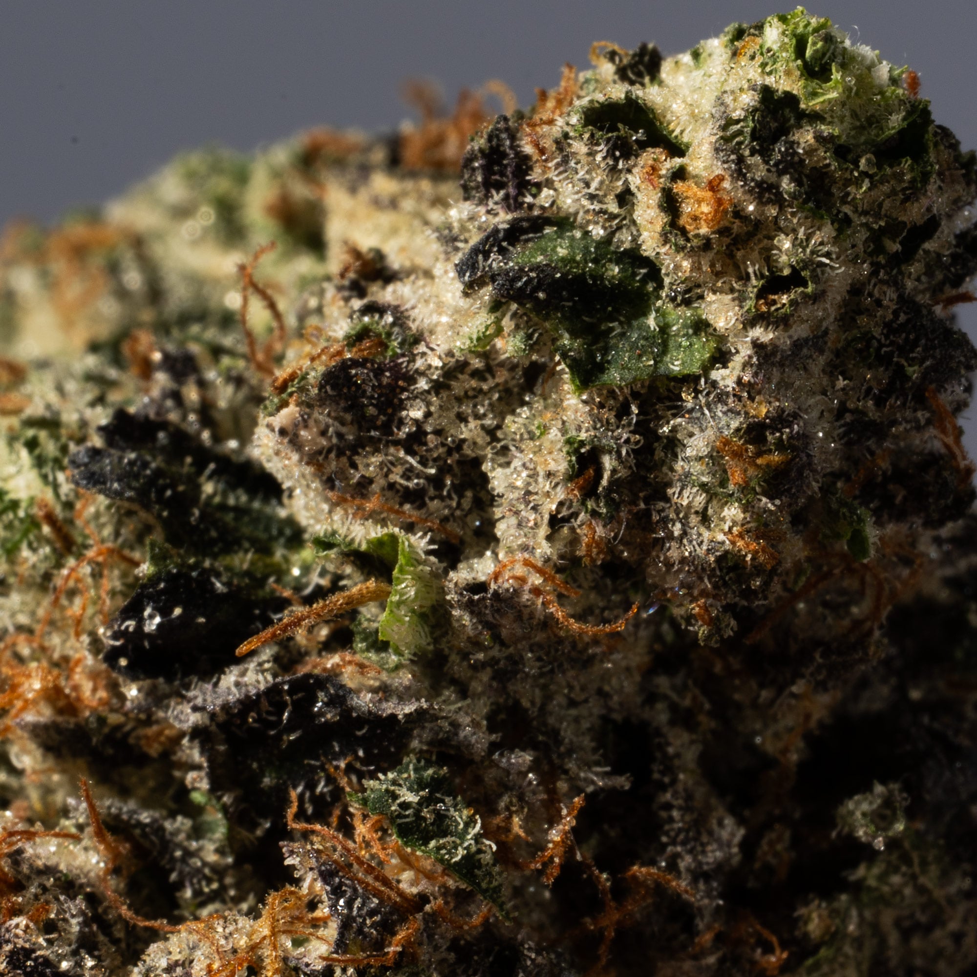 OG Kush (AAA+) - Image 5