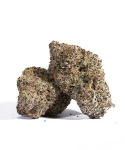 Champagne Kush (AAA+)