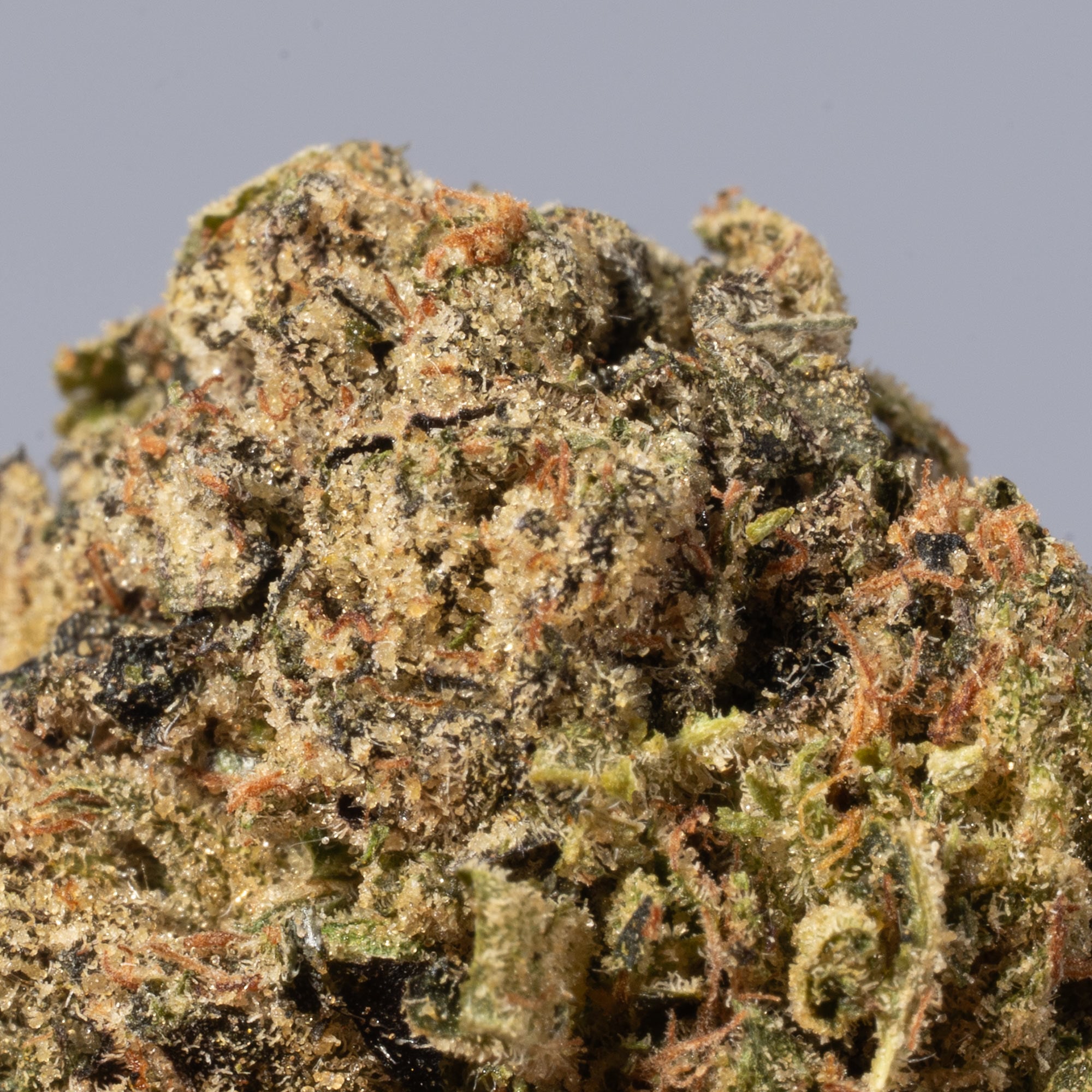 Rock Candy (AA+) - Image 3