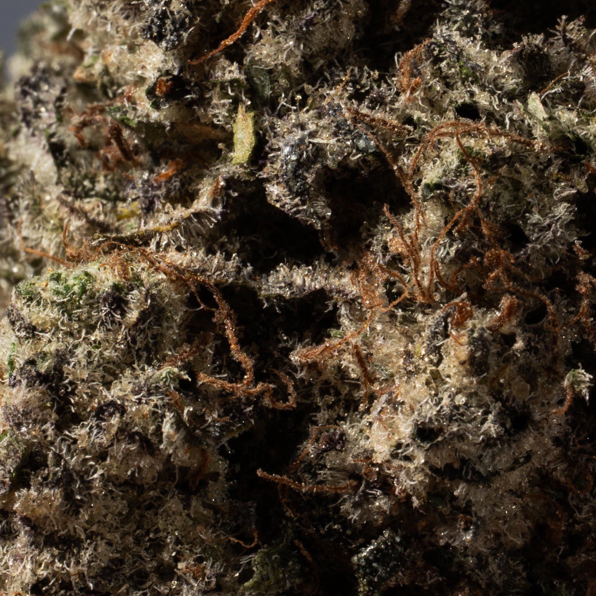 SFV OG (AAA+) - Image 4