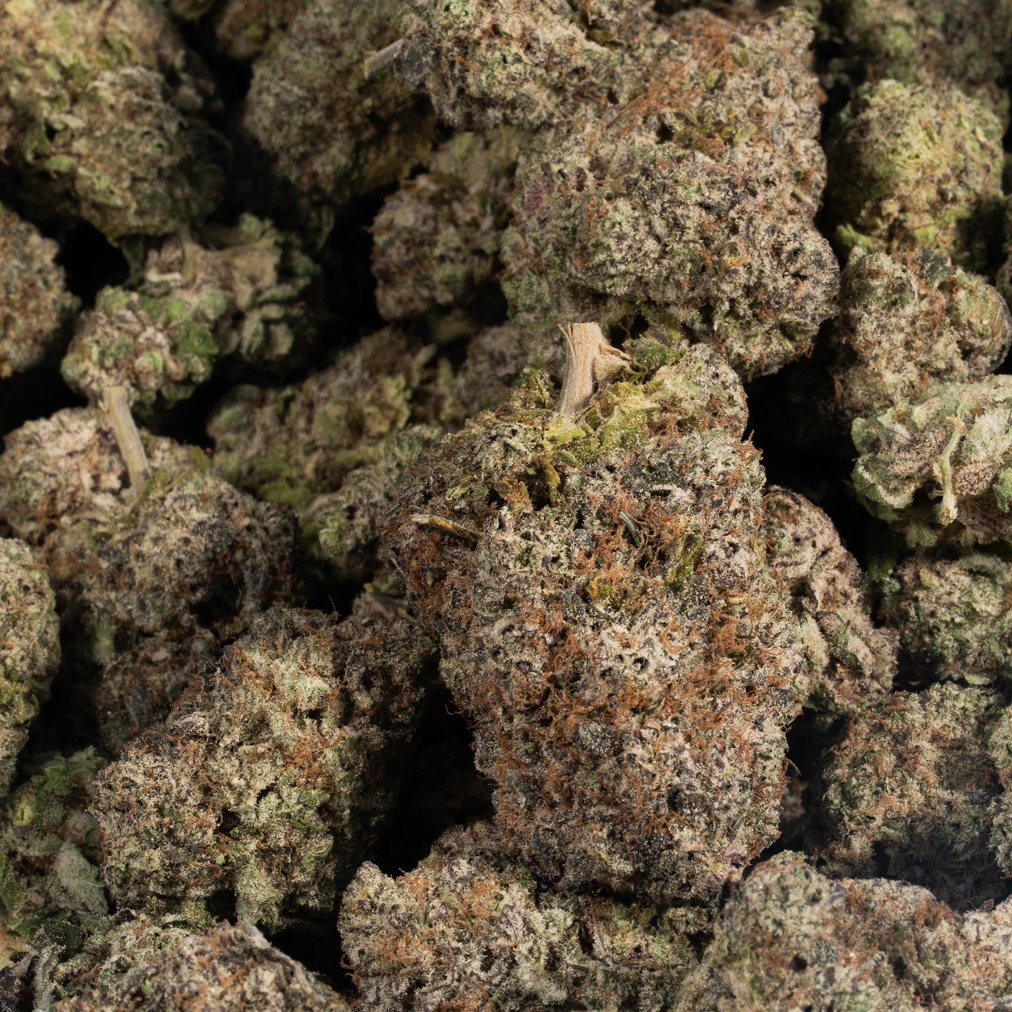 SFV OG (AAA+) - Image 3