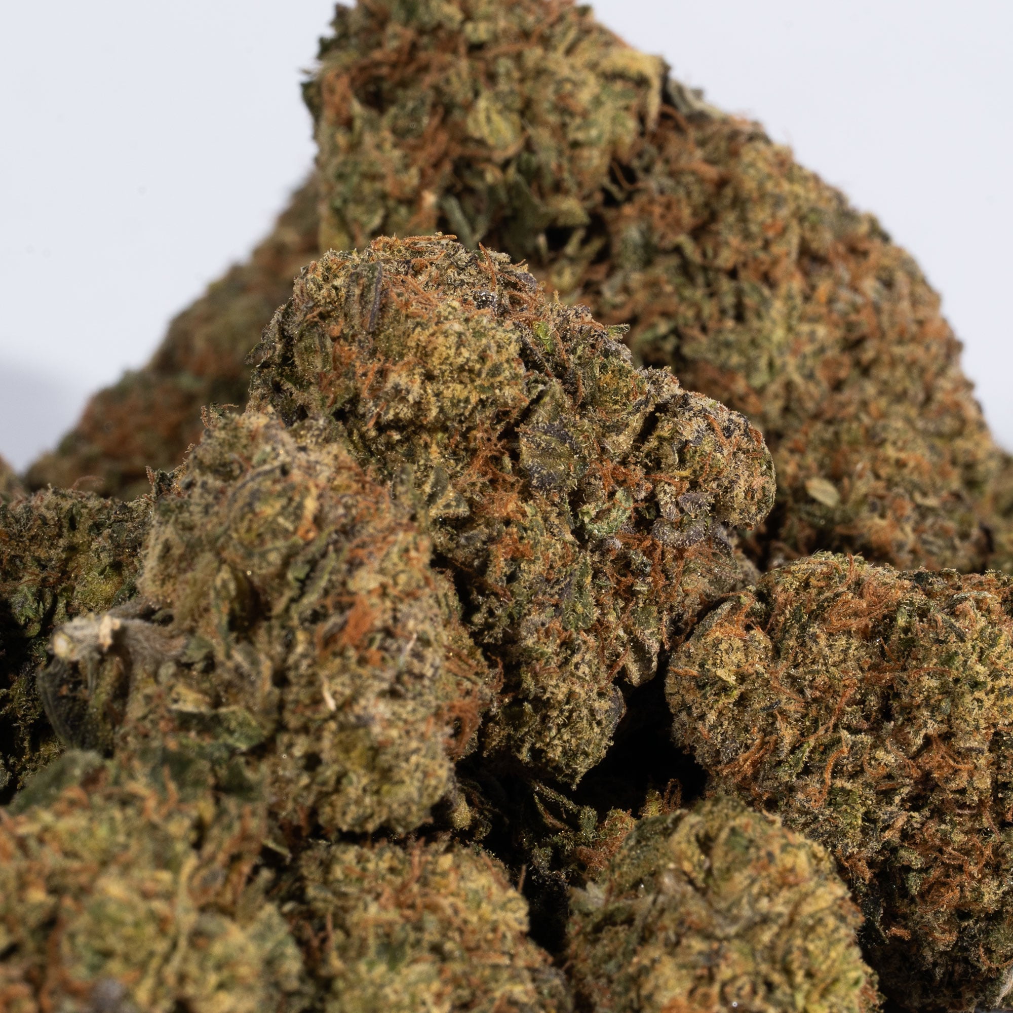 Sharks Breath (AAA) - Image 3