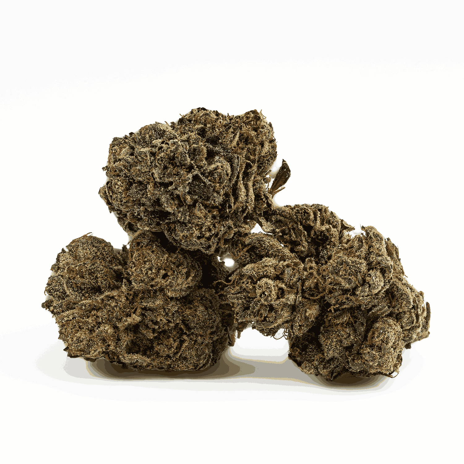 Gasolina (AA) - Image 2