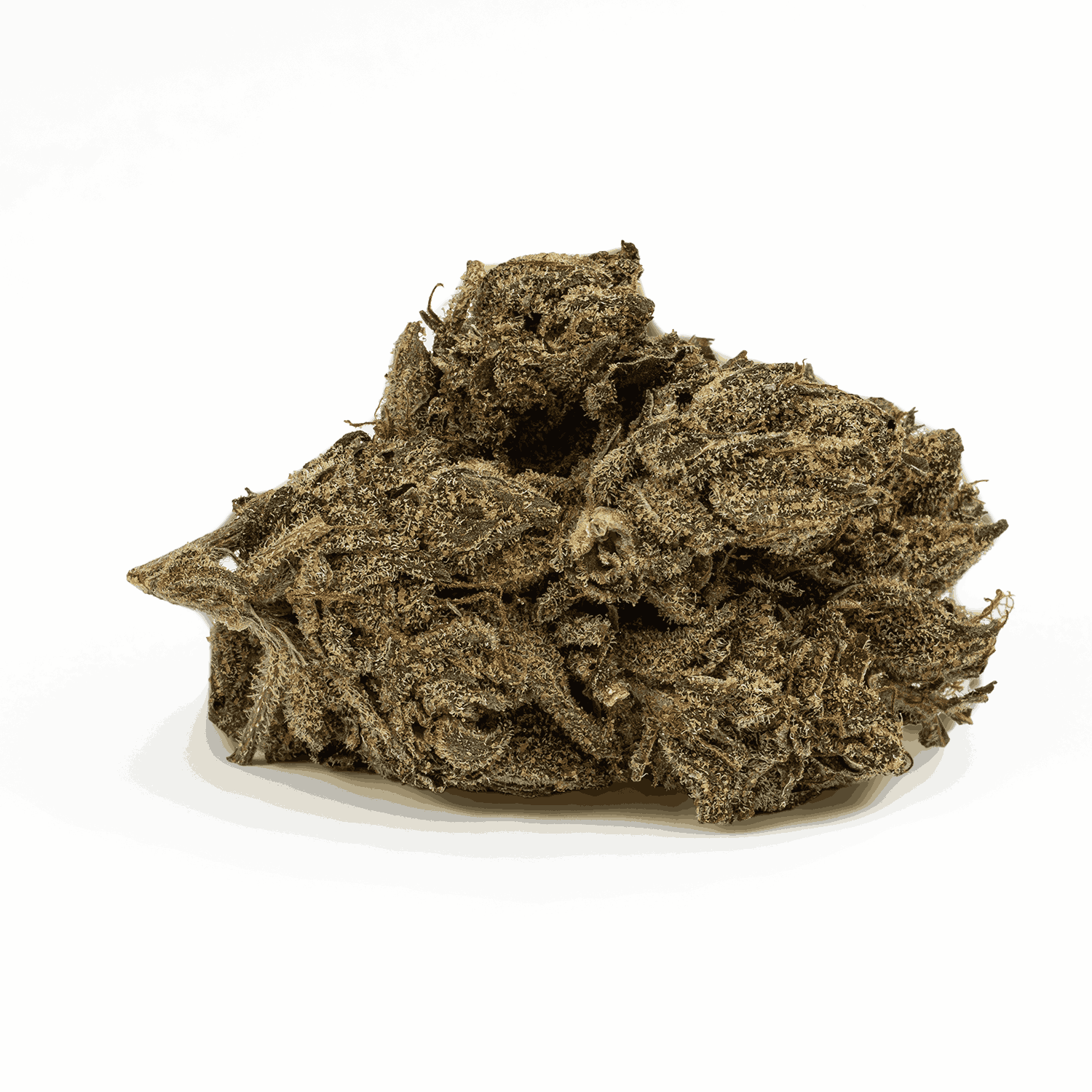 Gasolina (AA) - Image 3