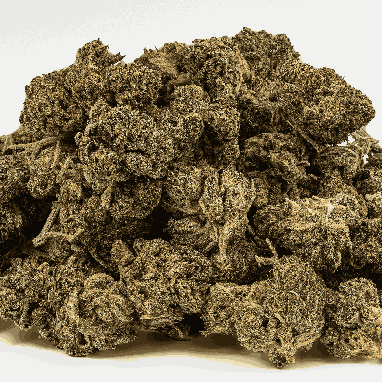Gasolina (AA) - Image 4