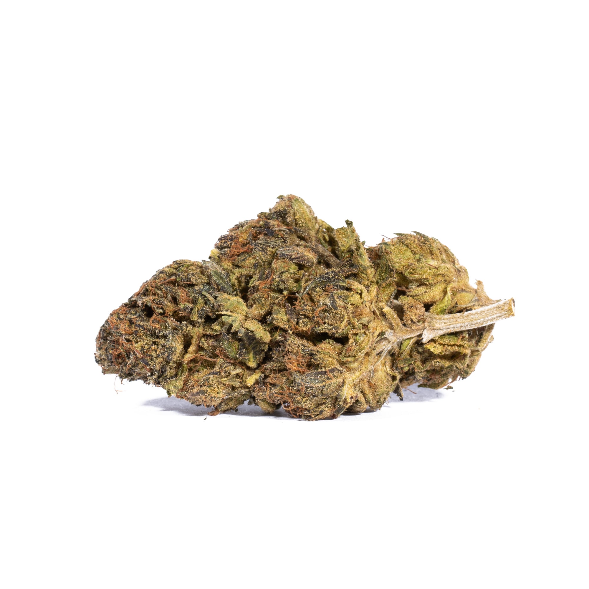 Gastro Pop (AA) Promo - Image 4