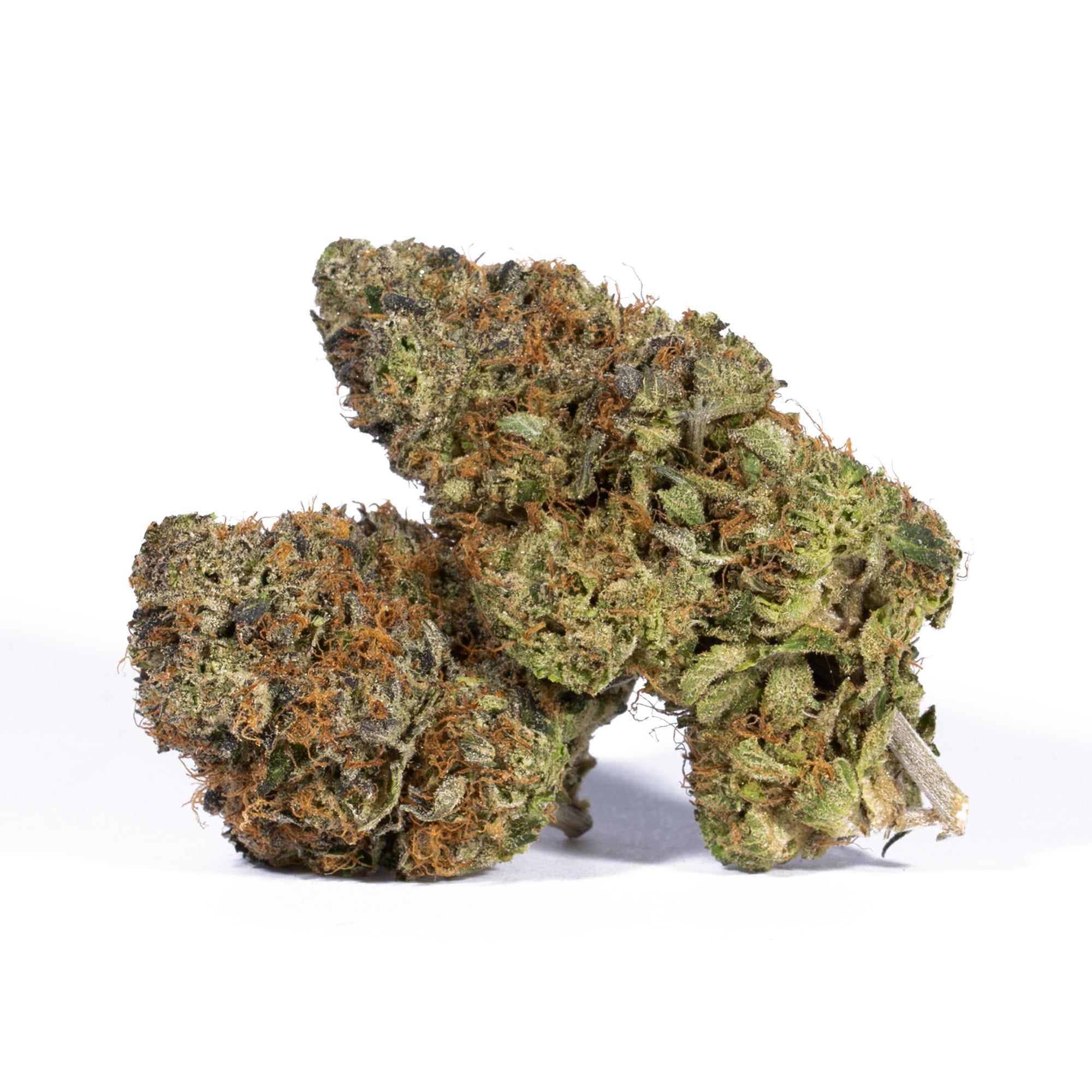 Acapulco Gold (AAAA) Promo