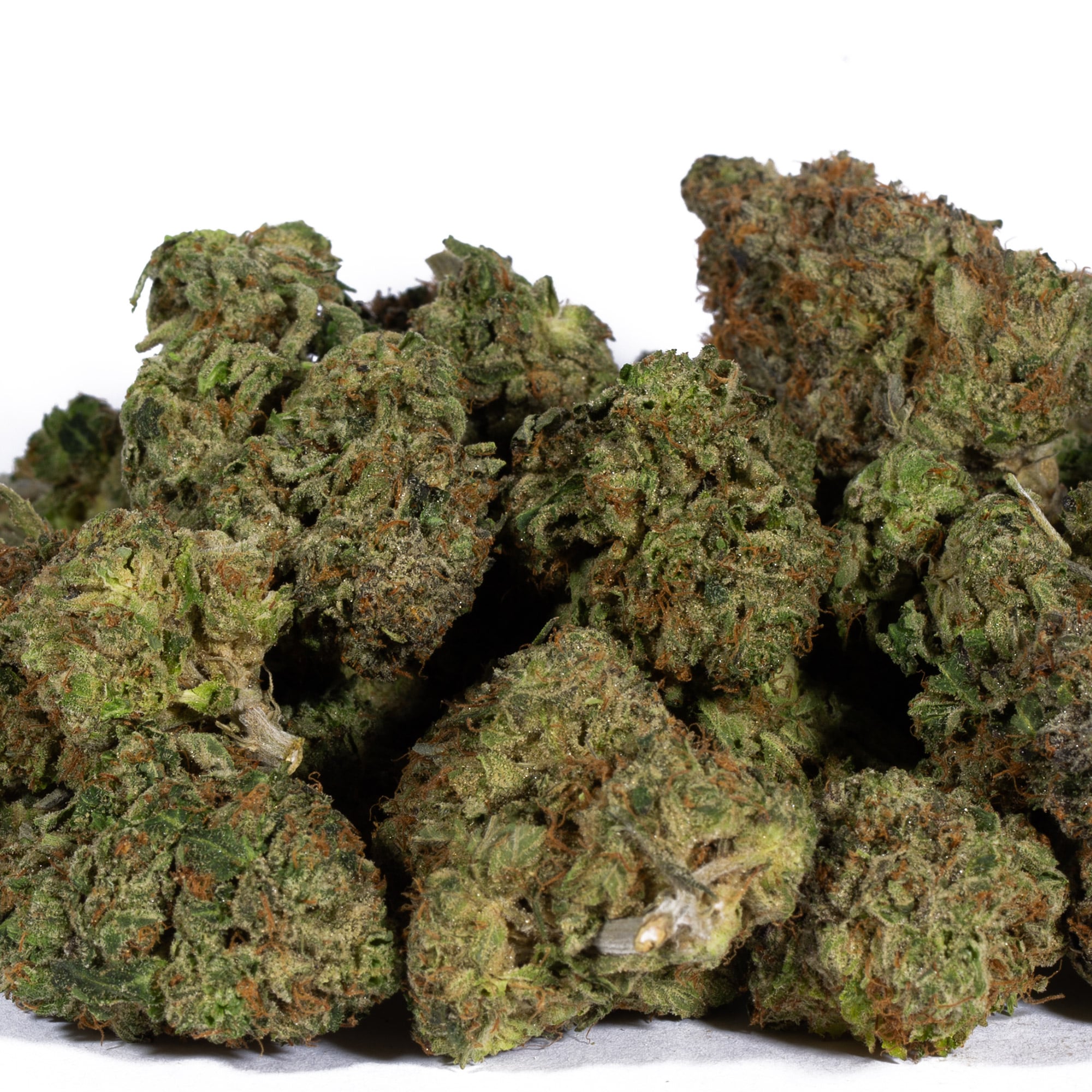 Acapulco Gold (AAAA) Promo - Image 4