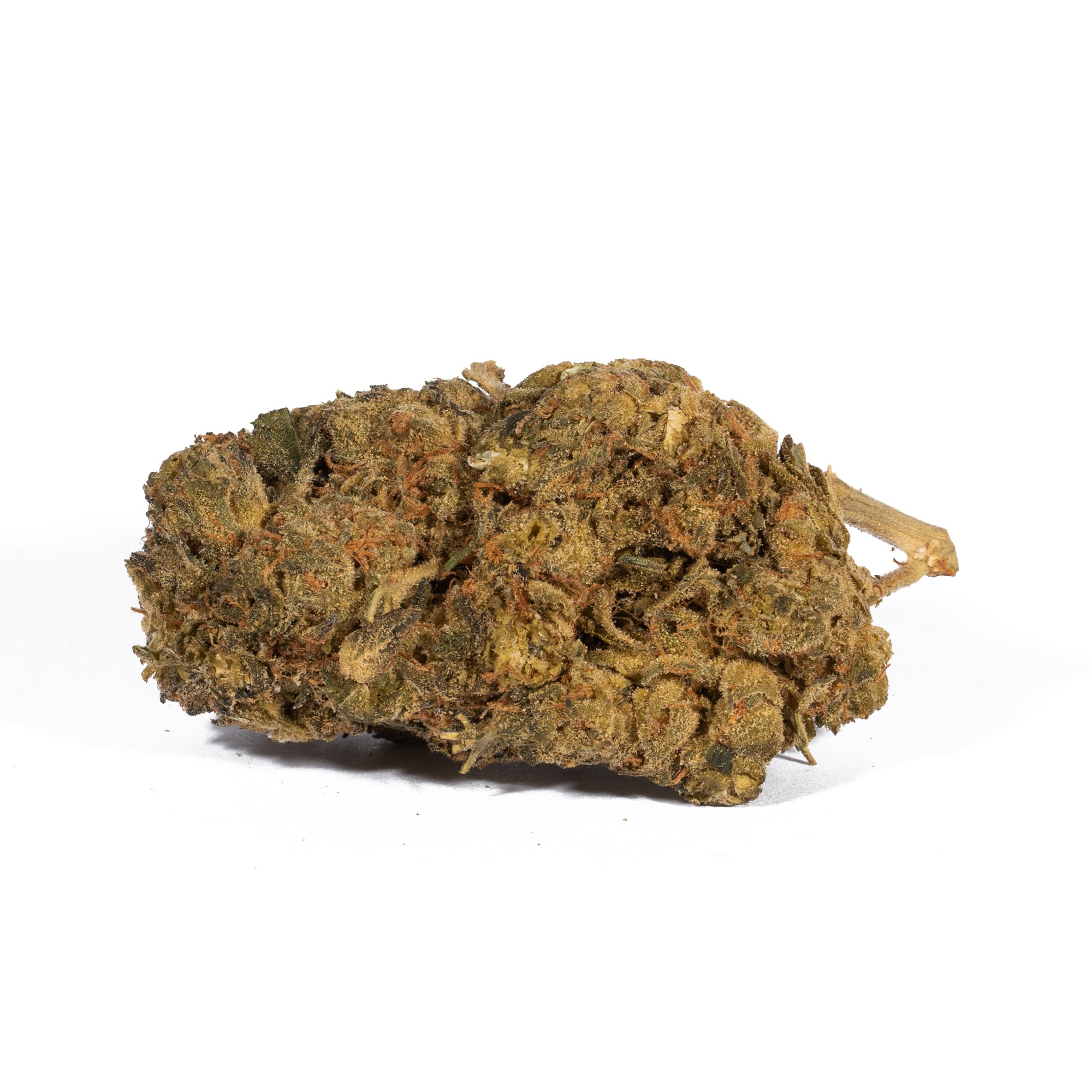 Super Boof (AA) Promo - Image 4