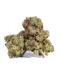 Acapulco Gold (AA+)